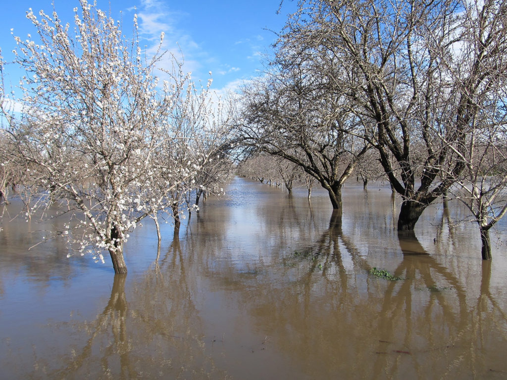 Sonora and Nonpareil flooded by rain - Butte County