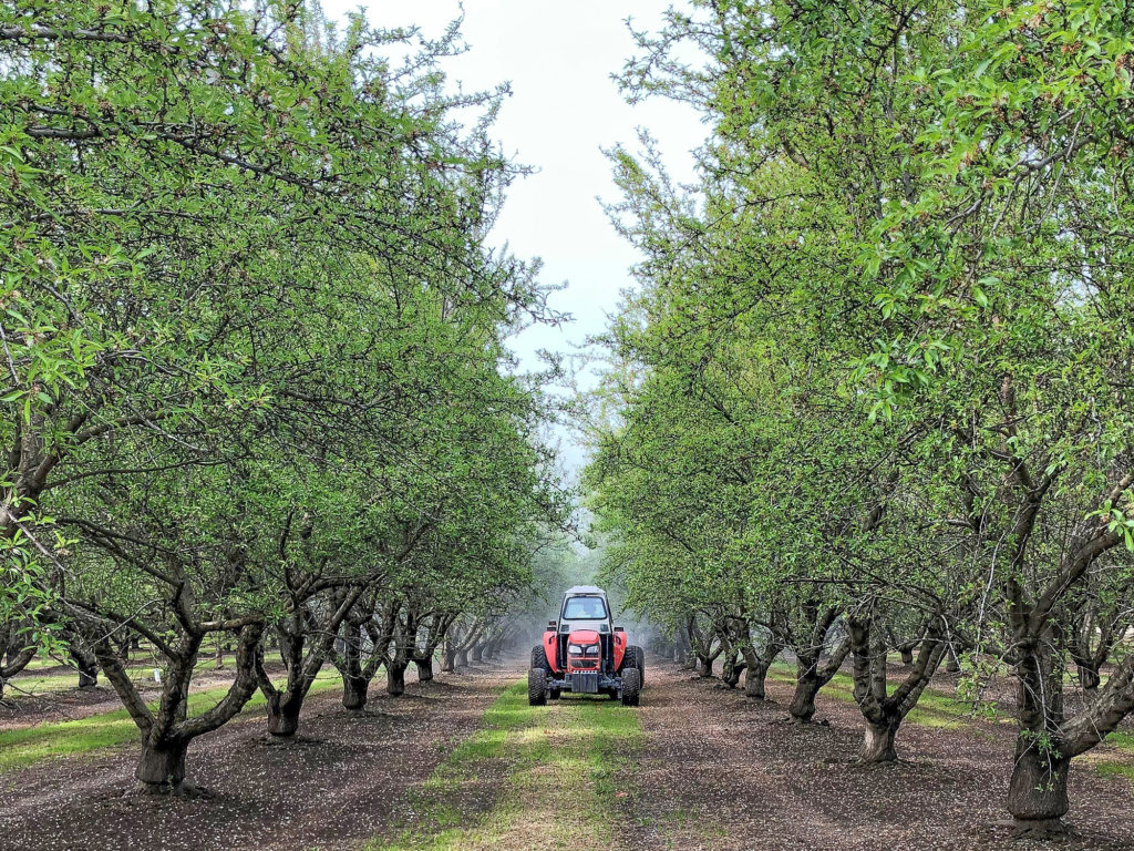 Fungicide Treatment - San Joaquin County