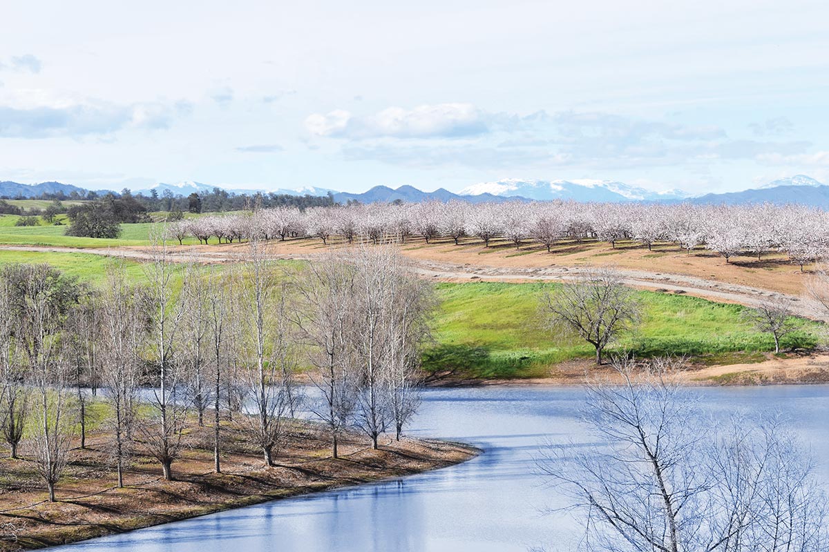 Chamisal Creek Ranch