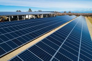 Solar panels at Mike Doherty's farm